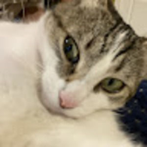 Meet your Posher, Lizbeth